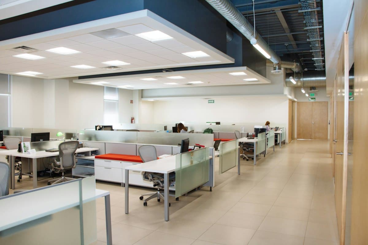 A freshly cleaned open-plan office with rows of empty desks